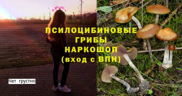 гидра Нефтегорск