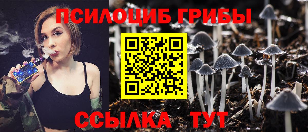 Галлюциногенные грибы прущие грибы Ижевск