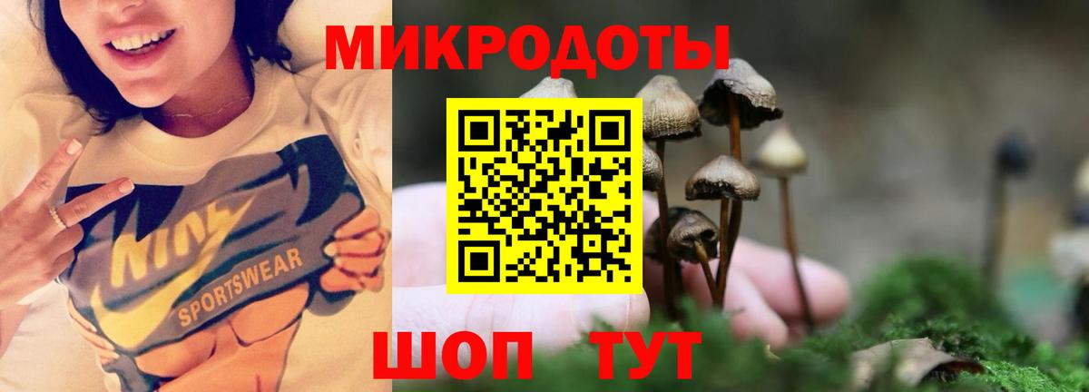 Псилоцибиновые грибы MAGIC MUSHROOMS  Вход с VPN  Ижевск 